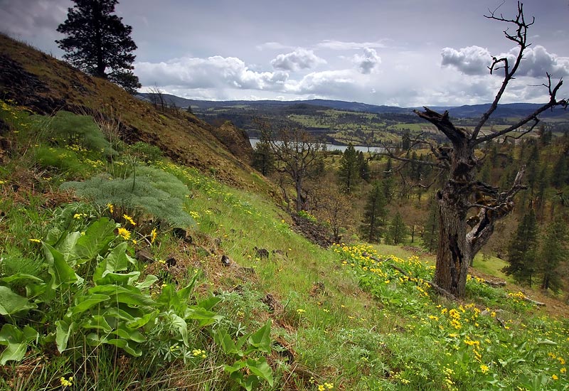 Gorge view facing south from above the arch