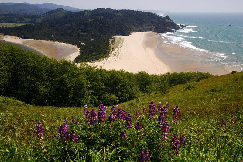 Salmon Creek and the Pacific from Cascade Head