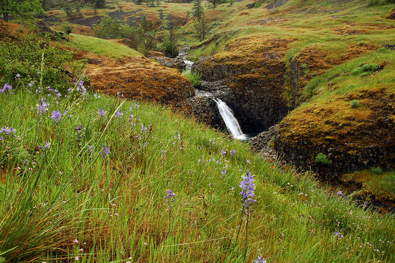 Waterfall along lower Catherine Creek