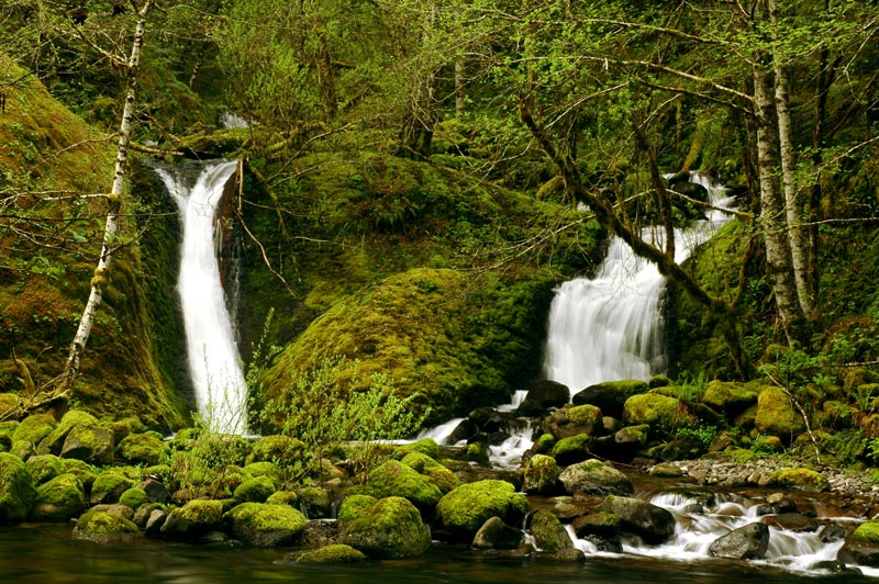 Tenas Falls along Eagle Creek Trail