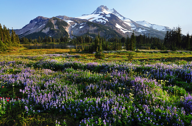 Jefferson Park at Russell Lake
