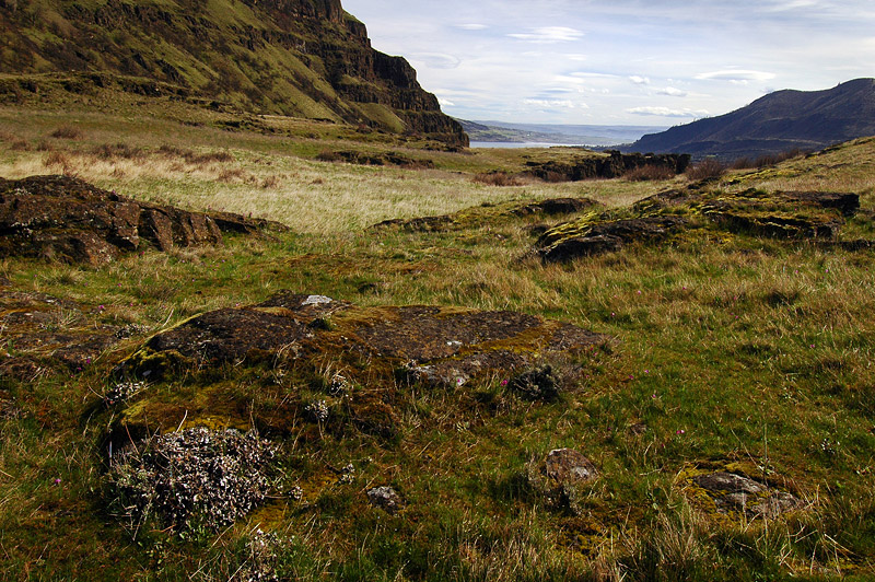 Facing east from above Lyle Cherry Orchard