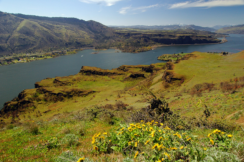 Facing east from Lyle Cherry Orchard trail