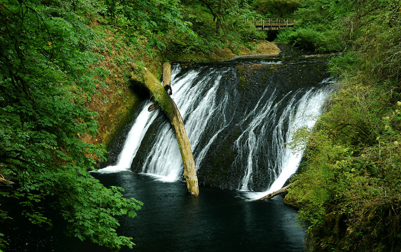 Lower North Falls, Silver Falls State Park