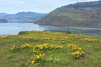 Mosier Plateau Thumbnail
