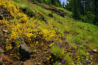 Iron Mountain Thumbnail